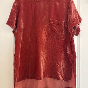 Silence + Noise Velvet Top in Rust